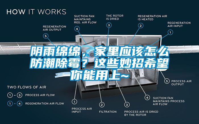 陰雨綿綿，家里應(yīng)該怎么防潮除霉？這些妙招希望你能用上~