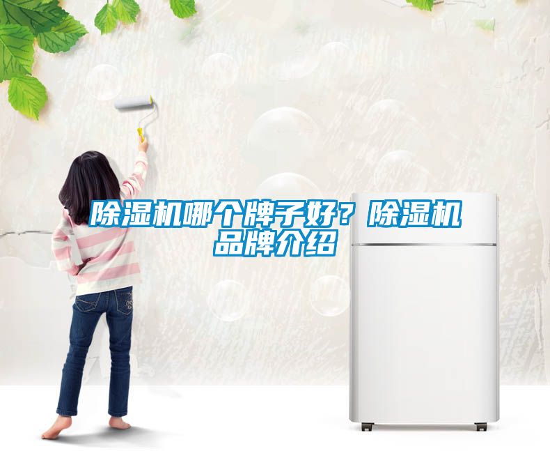 除濕機哪個牌子好？除濕機品牌介紹