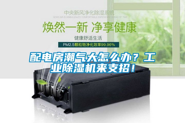 配電房潮氣大怎么辦？工業(yè)除濕機來支招！