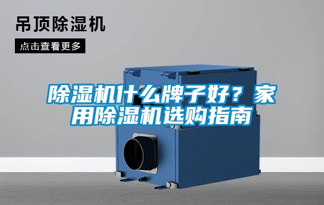 除濕機(jī)什么牌子好？家用除濕機(jī)選購指南