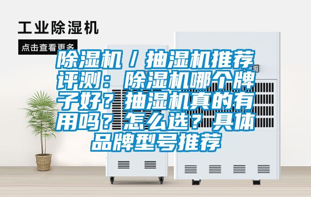 除濕機／抽濕機推薦評測：除濕機哪個牌子好？抽濕機真的有用嗎？怎么選？具體品牌型號推薦