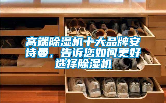 高端除濕機十大品牌安詩曼，告訴您如何更好選擇除濕機