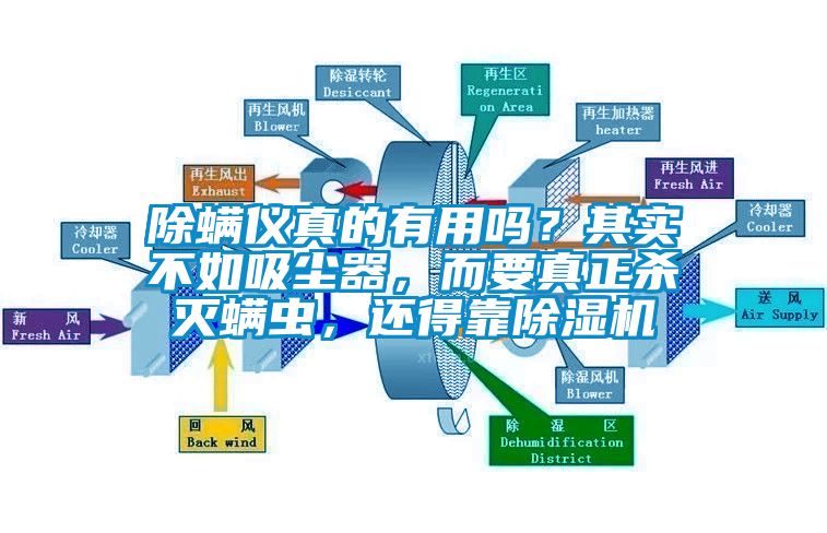 除螨儀真的有用嗎？其實不如吸塵器，而要真正殺滅螨蟲，還得靠除濕機